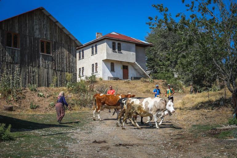 Uluslararası Ultra Abant 790 sporcunun katılımıyla koşuldu