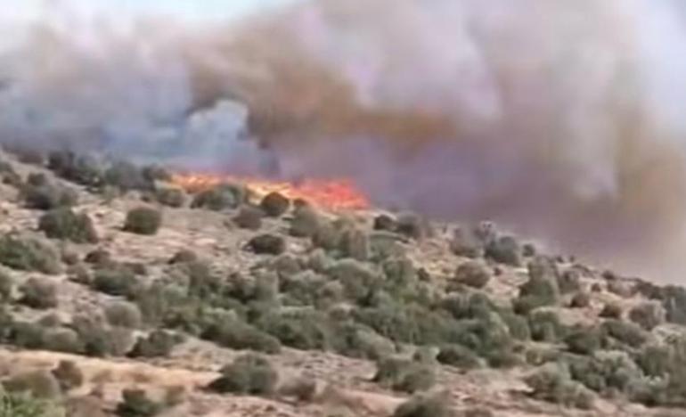 İzmirde makilik yangını