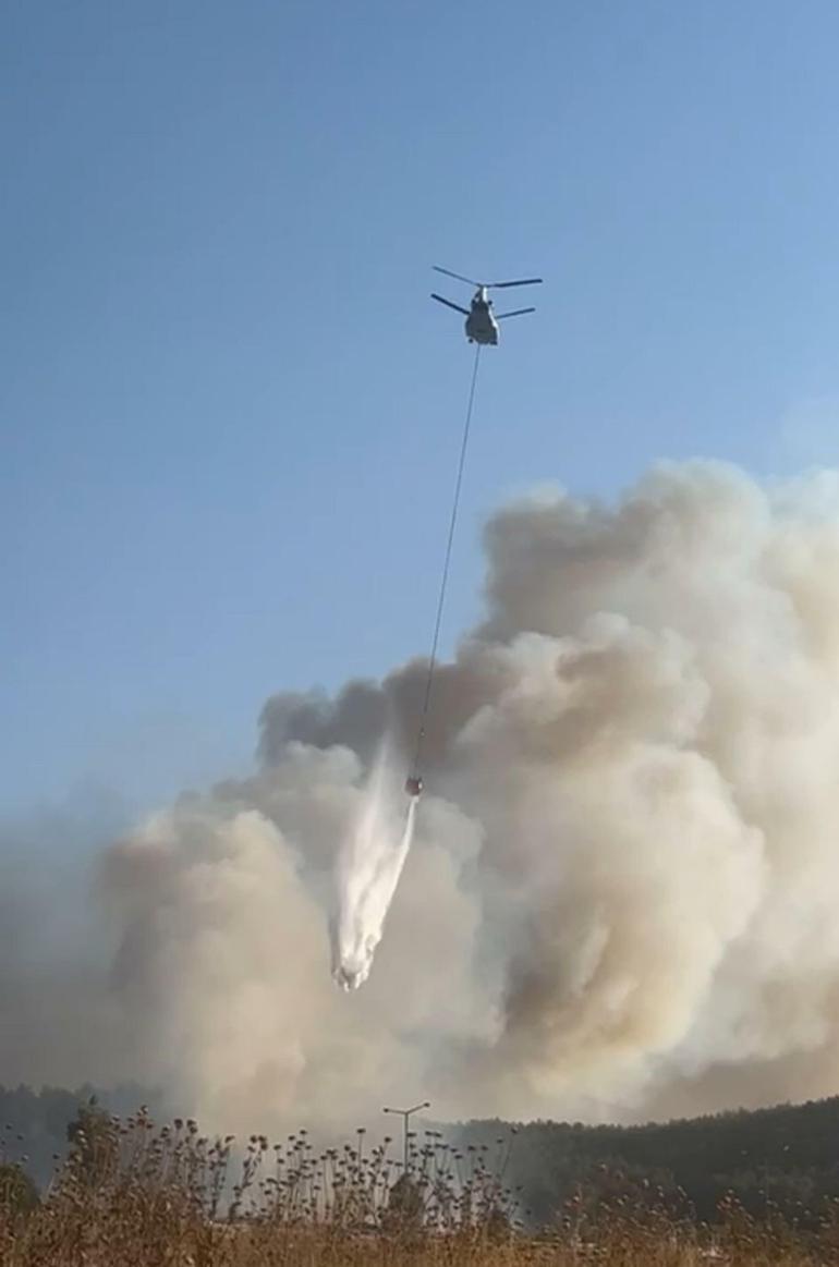 İzmirde minibüste çıkan yangın ormana sıçradı: 3 gözaltı