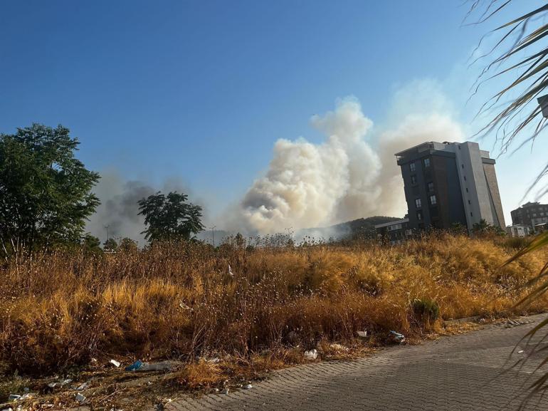 İzmirde minibüste çıkan yangın ormana sıçradı: 3 gözaltı