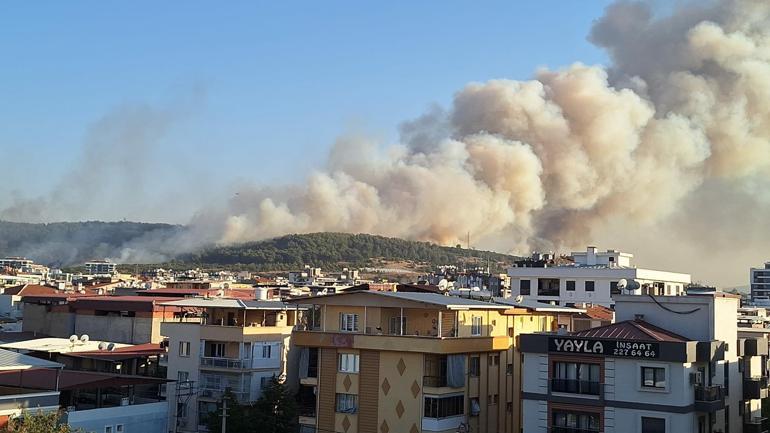 İzmirde minibüste çıkan yangın ormana sıçradı: 3 gözaltı