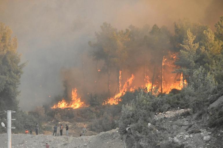 İzmirde minibüste çıkan yangın ormana sıçradı: 3 gözaltı