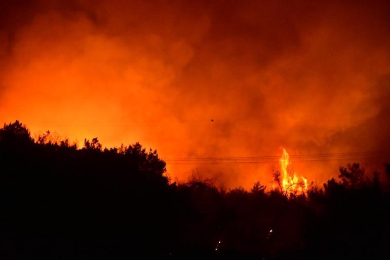 İzmirde minibüste çıkan yangın ormana sıçradı: 3 gözaltı