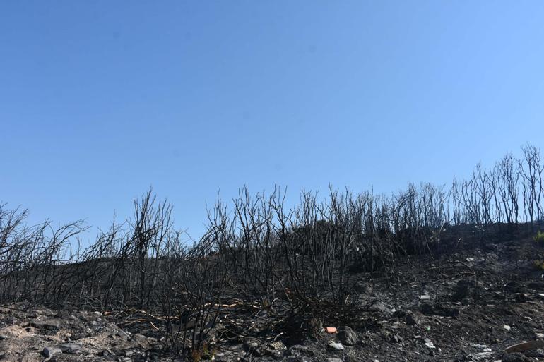 İzmir’de yerleşim yerlerinin çevresinde yanan alanlar dronla görüntülendi