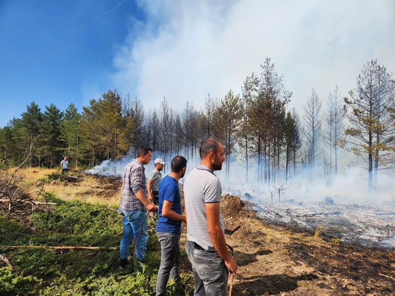 Çankırı’da çıkan orman yangını kontrol altına alındı