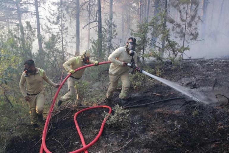 Boluda orman yangınına neden olan 1 şüpheli tutuklandı