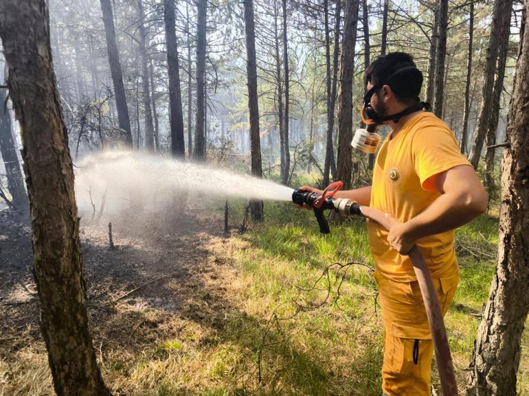 Boluda orman yangınına neden olan 1 şüpheli tutuklandı