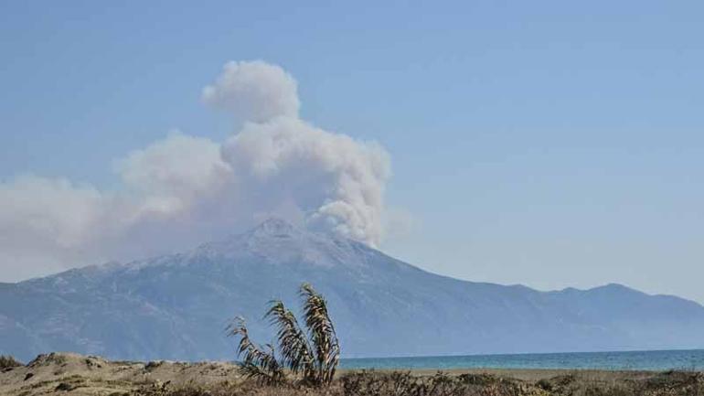 Suriyede sınıra yakın bölgede çıkan orman yangını Türkiyeye sıçradı