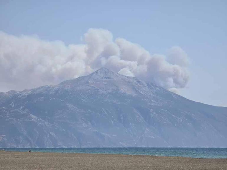Suriyede sınıra yakın bölgede çıkan orman yangını Türkiyeye sıçradı