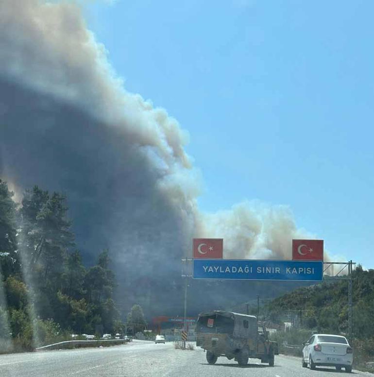 Suriyede sınıra yakın bölgede çıkan orman yangını Türkiyeye sıçradı