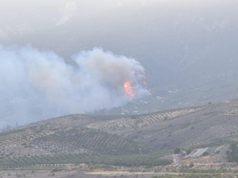 Hataydaki orman yangını ikinci gününde; havadan müdahale başladı