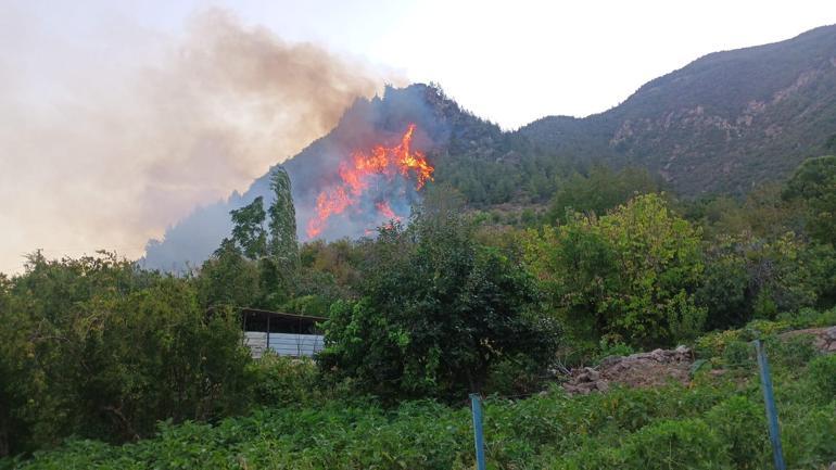 Hataydaki orman yangını ikinci gününde; havadan müdahale başladı