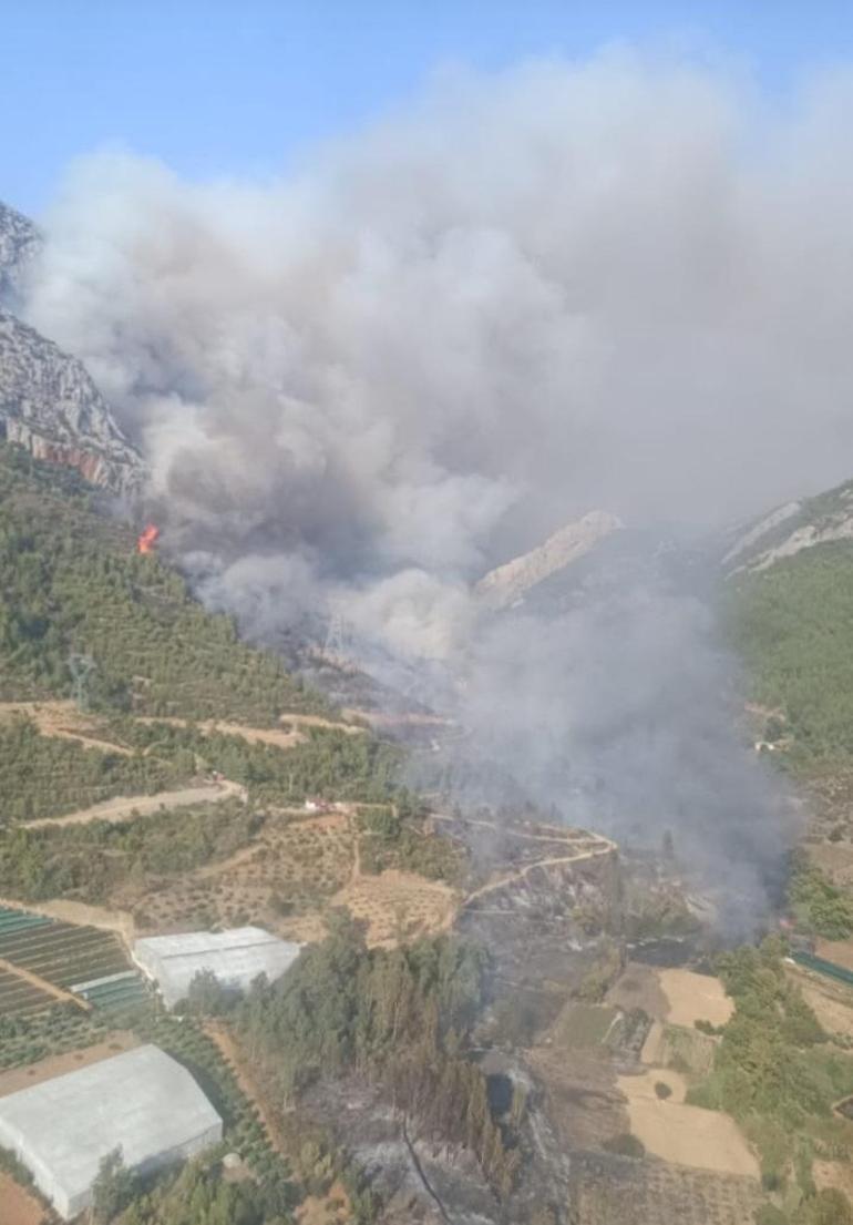 Mersindeki orman yangını 2nci gününde