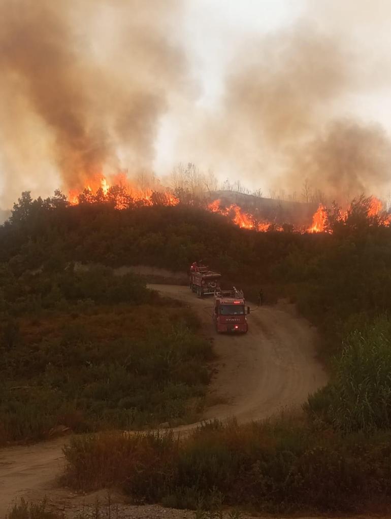Hataydaki orman yangını ikinci gününde; havadan müdahale başladı