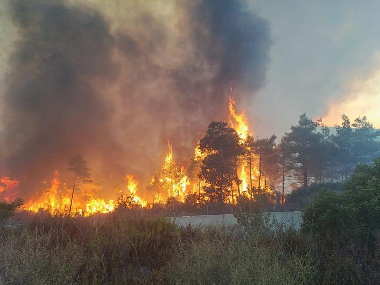 Hataydaki orman yangını ikinci gününde; havadan müdahale başladı