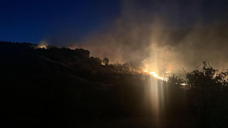 Diyarbakır’da çıkan örtü yangını, 3 saatte söndürüldü