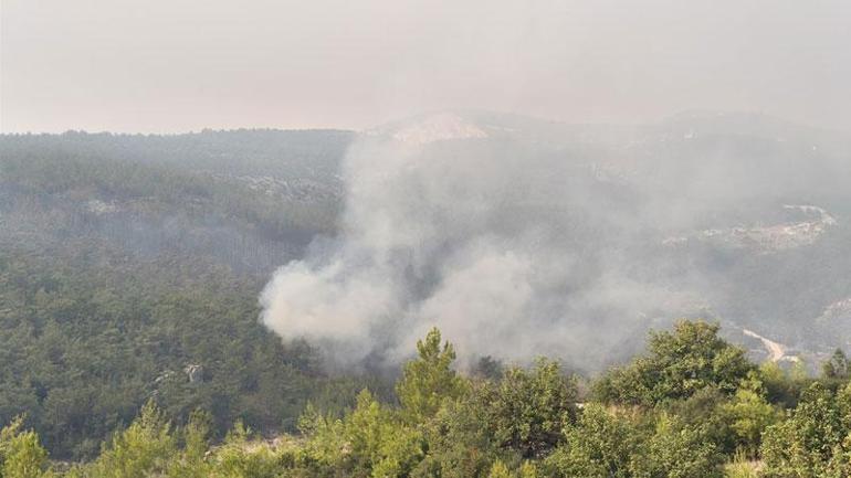 Mersinin 2 ilçesindeki orman yangınlarına müdahale sürüyor