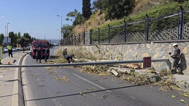 Üsküdarda ağaç seyir halindeki otomobilin üzerine devrildi