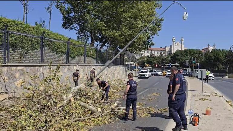 Üsküdarda ağaç seyir halindeki otomobilin üzerine devrildi