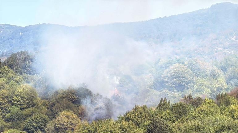 Bartında orman yangını kontrol altında