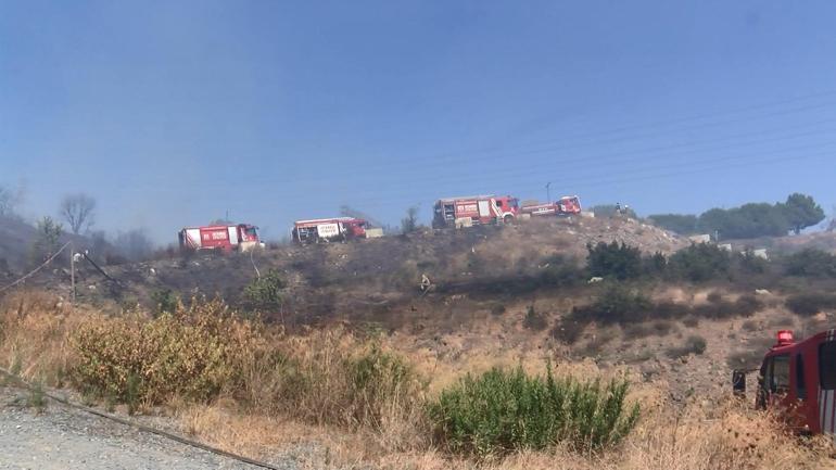 Eyüpsultan’da elektrik trafosundan çıkan yangın ağaçlık alana sıçradı