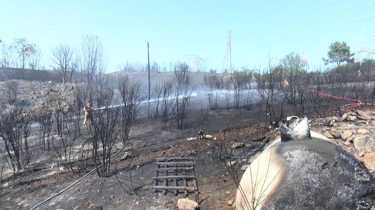 Eyüpsultan’da elektrik trafosundan çıkan yangın ağaçlık alana sıçradı