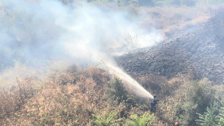 Eyüpsultan’da elektrik trafosundan çıkan yangın ağaçlık alana sıçradı