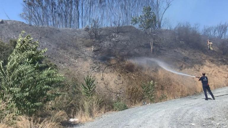 Eyüpsultan’da elektrik trafosundan çıkan yangın ağaçlık alana sıçradı
