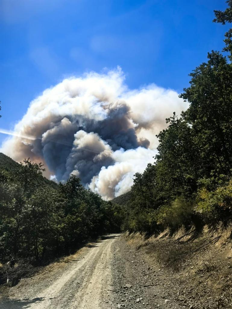 Kocaelide orman yangını: 3 mahalle tahliye edildi