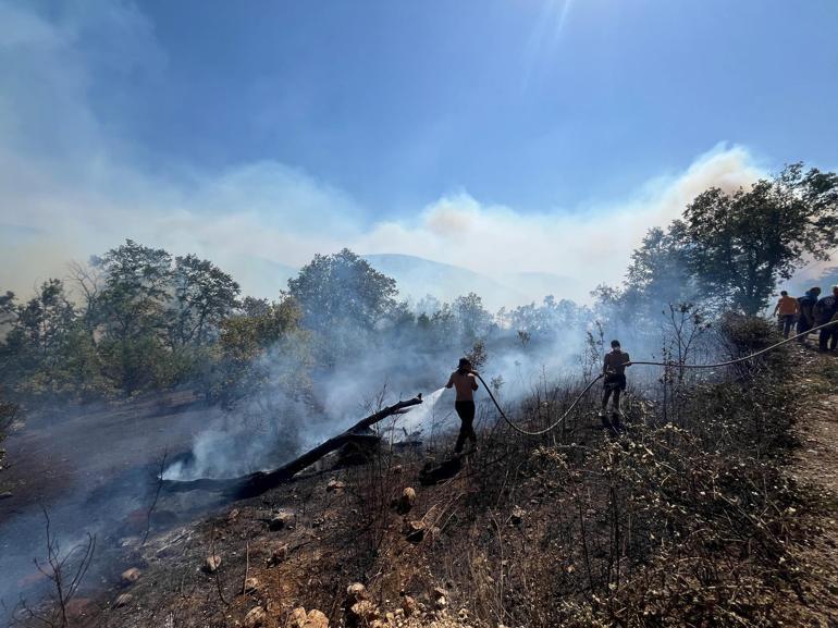Kocaelide orman yangını: 3 mahalle tahliye edildi
