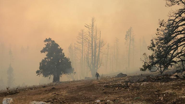 Karamanda orman yangını
