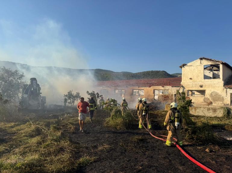 Rüzgarın etkisiyle kopan elektrik telleri yangına neden oldu