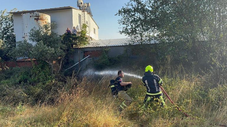 Rüzgarın etkisiyle kopan elektrik telleri yangına neden oldu
