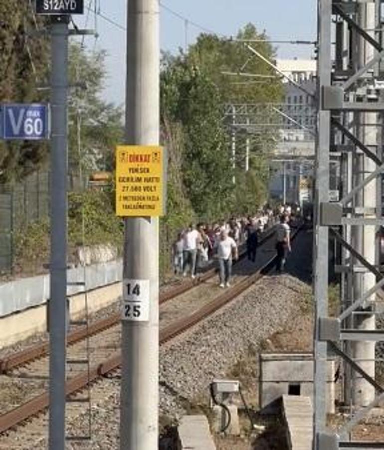 Marmaray hattına ağaç devrildi, yolcular demir yolunda yürüdü
