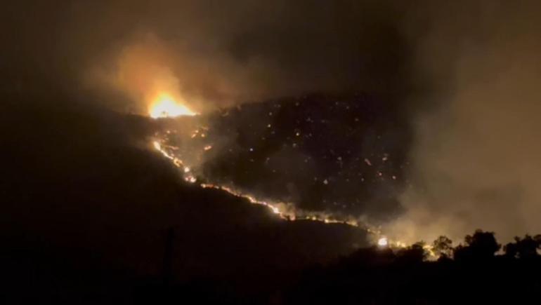 Diyarbakır’da 3 noktada örtü yangını