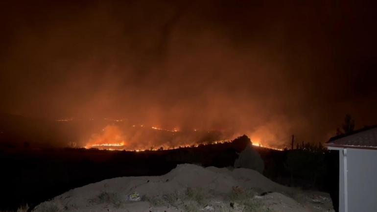 Diyarbakır’da 3 noktada örtü yangını