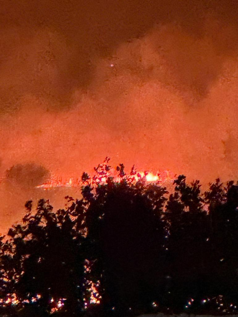 Diyarbakır’da 3 noktada örtü yangını