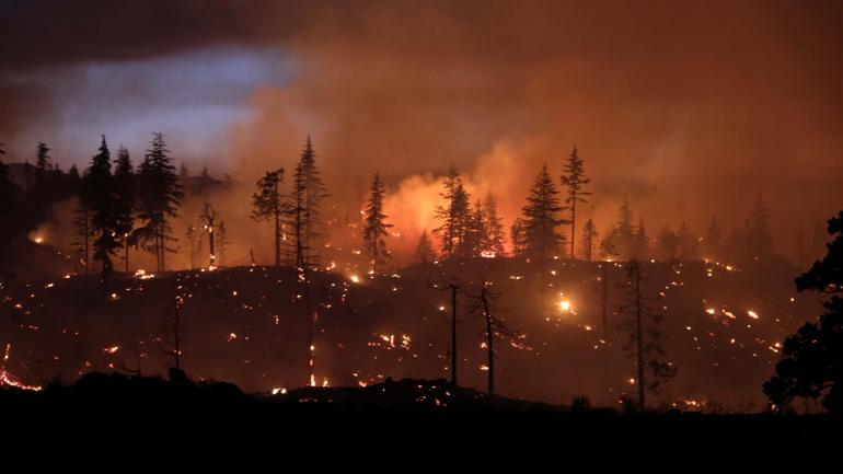 Karamanda orman yangını