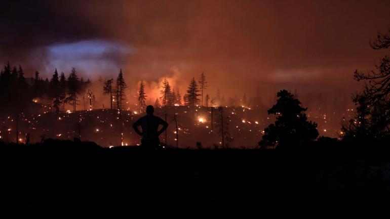 Karamanda orman yangını