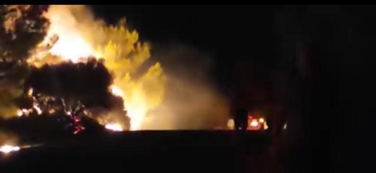 İzmirde orman yangını