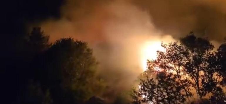 İzmirde orman yangını