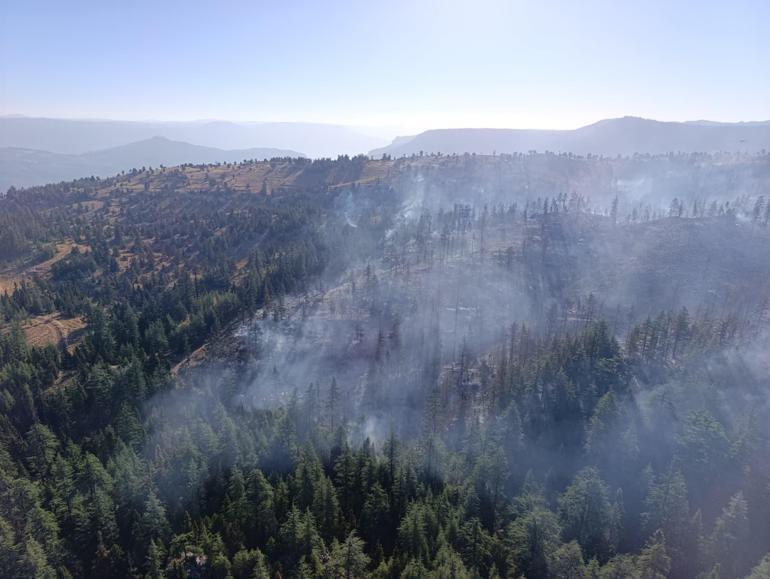 Karamandaki orman yangını kontrol altında