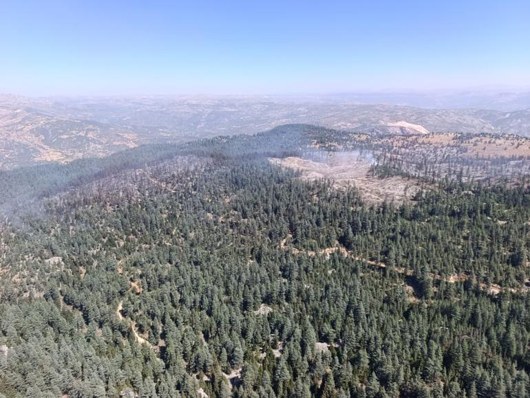 Karamandaki orman yangını kontrol altında