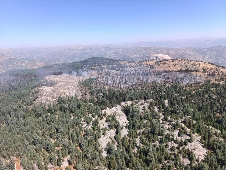 Karamandaki orman yangını kontrol altında