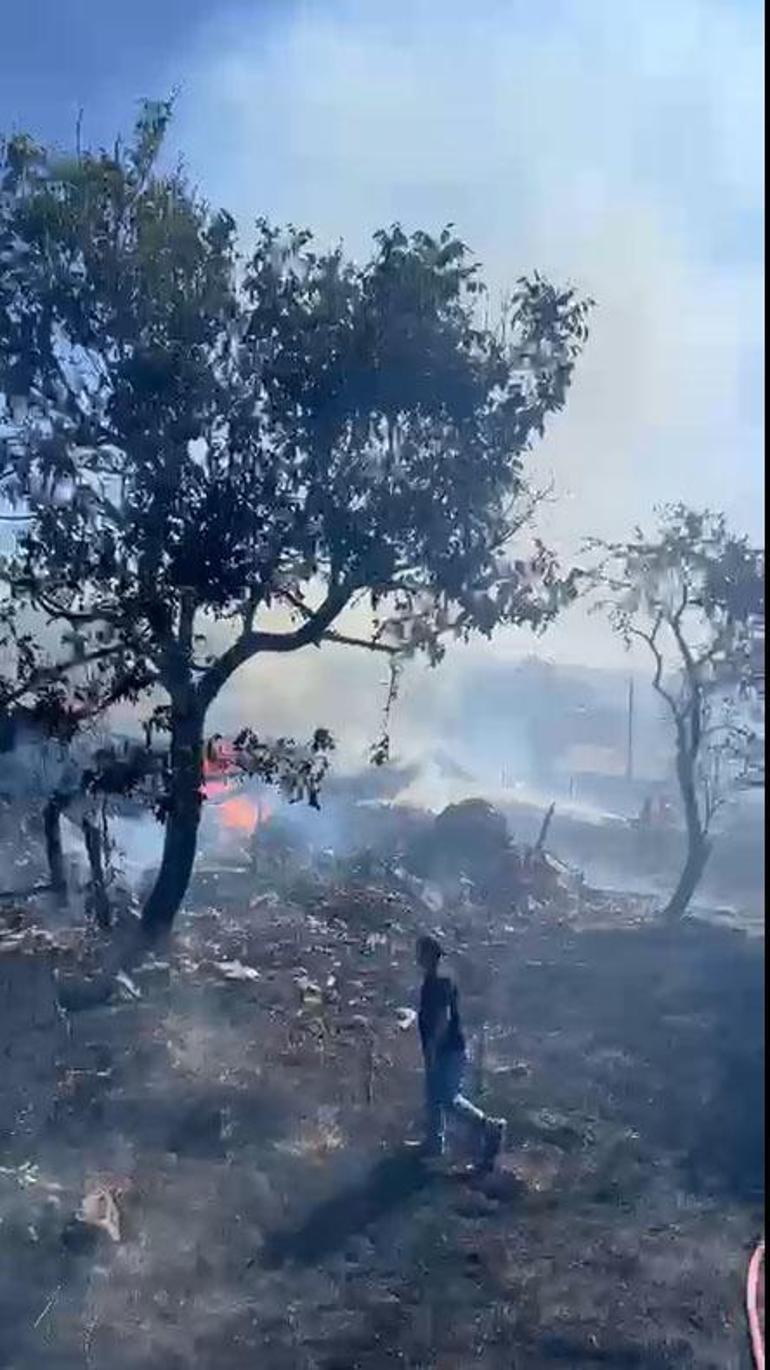 Otluk alanda çıkan yangında 3 ev 2 ahır ve 2 samanlık kül oldu