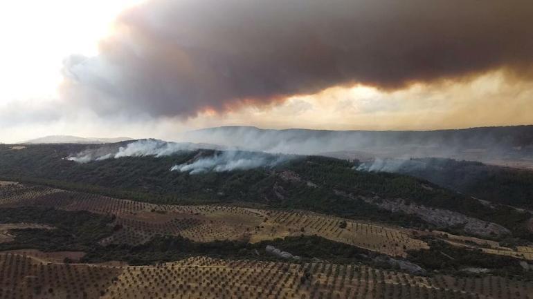 Çanakkaledeki orman yangını kontrol altında