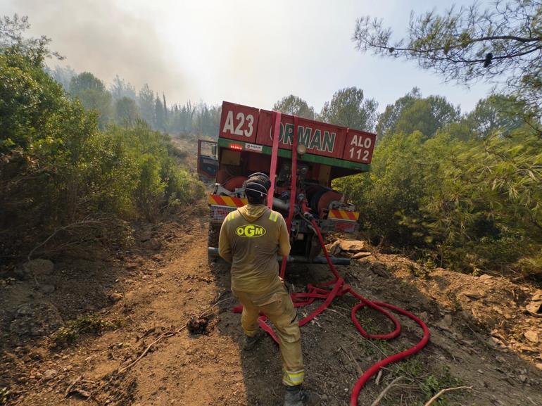 OGM Müdürü Karacabey: Yangınların yüzde 57si orman dışı alanlarda başladı