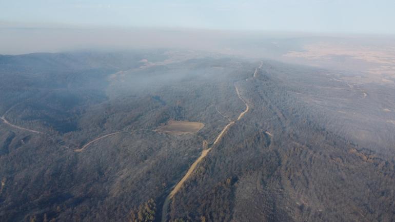 Çanakkale’deki orman yangınında zarar gören alanlar dron ile görüntülendi