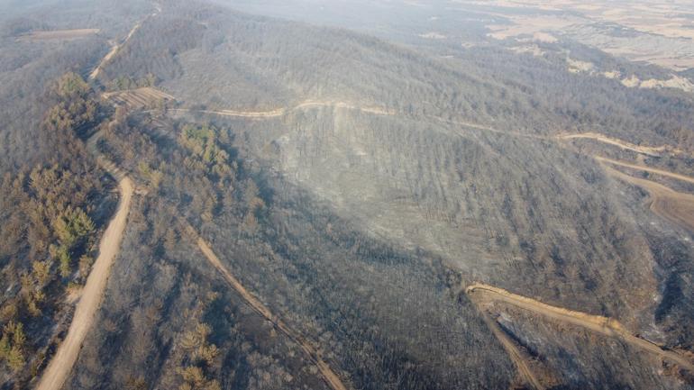 Çanakkale’deki orman yangınında zarar gören alanlar dron ile görüntülendi