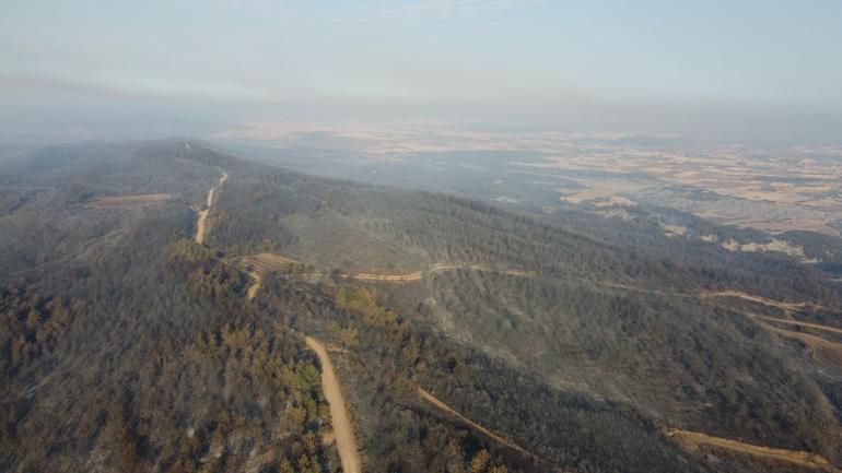 Çanakkale’deki orman yangınında zarar gören alanlar dron ile görüntülendi